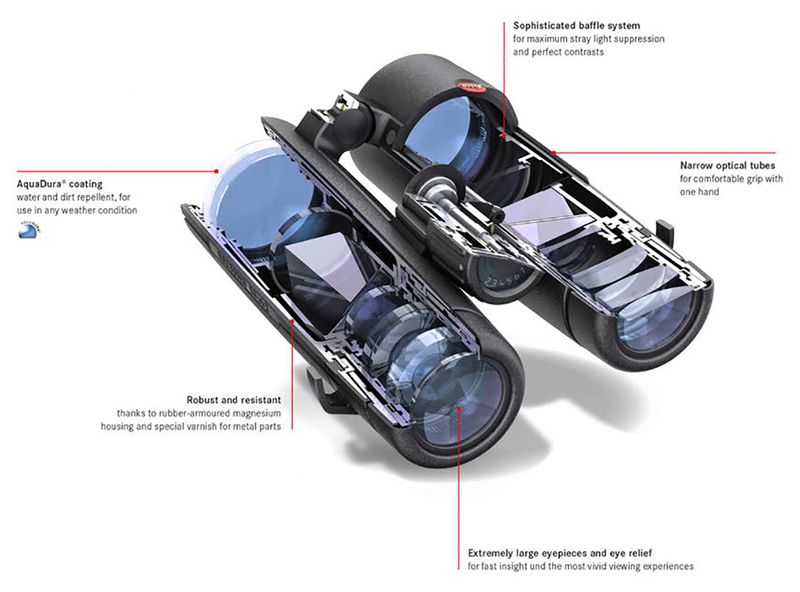 Leica Noctivid 8x42 HD