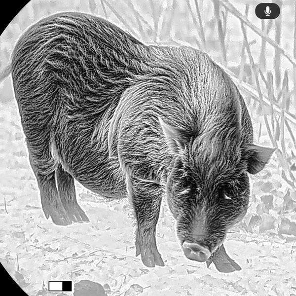 Hovedbilde Guide TU425S 3.0