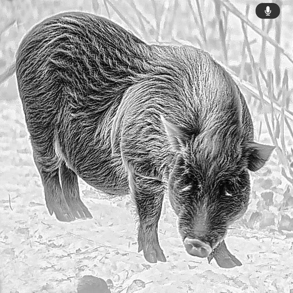 Hovedbilde Guide TU1260MS 3.0